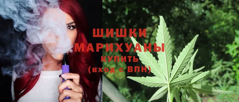 Конопля SATIVA & INDICA  Лыткарино 